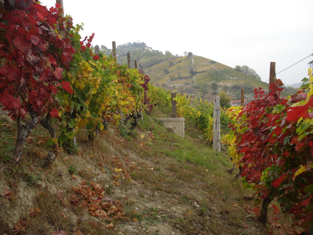 Agriturismo Cascina L'Arche Santo Stefano Belbo Buitenkant foto